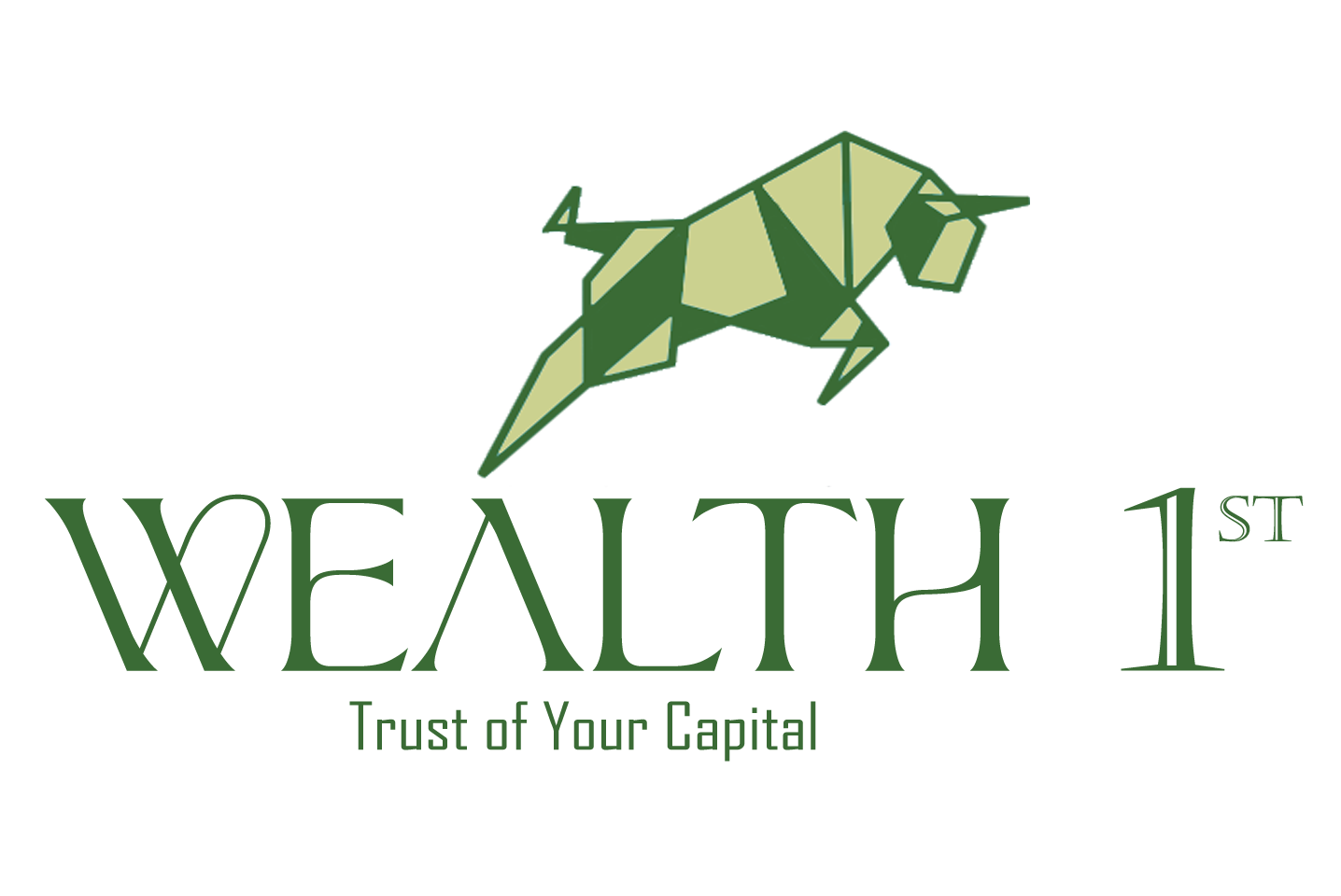 Wealth 1st - Trust of your capital - Safe investing